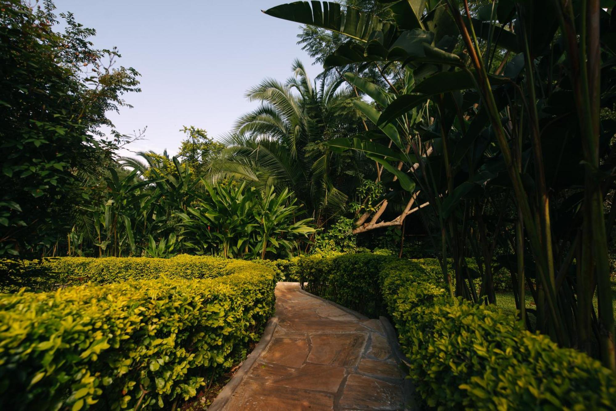Villa Aishi Machame Moshi Exterior foto
